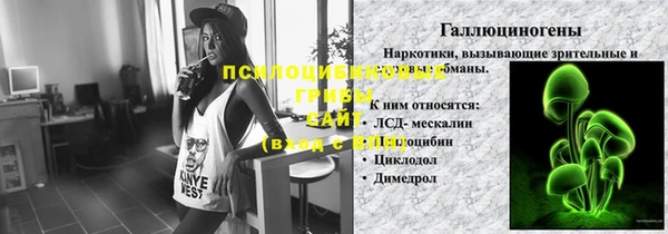 крисы Мегион
