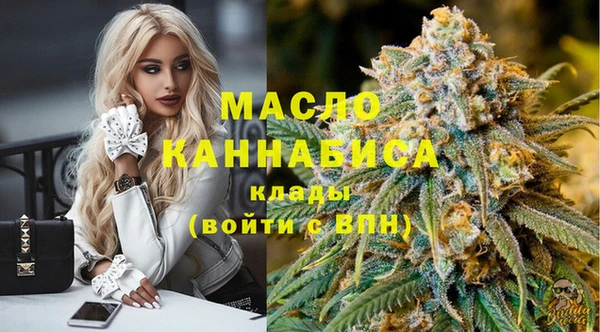 крисы Мегион