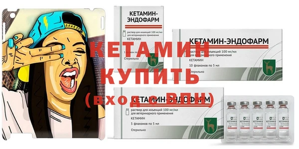 крисы Мегион