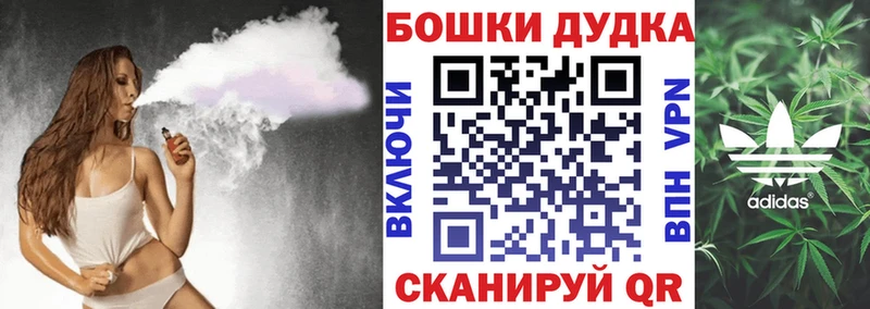Конопля SATIVA & INDICA  купить   Новоржев 